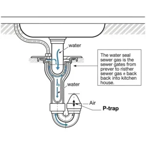 Schematic drawing of the P-trap located underneath parts of a kitchen sink, explaining its function in preventing sewer gas.