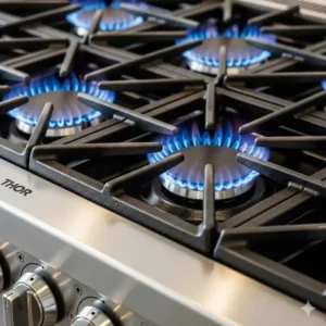  Close-up view of the cast-iron grates and high-powered burners on a THOR kitchen stove cooktop.