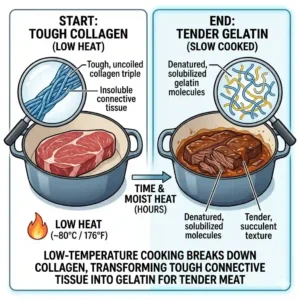 A colorful thermometer graphic comparing various oil smoke points to master how to cook with low heat vs high heat safely without burning.